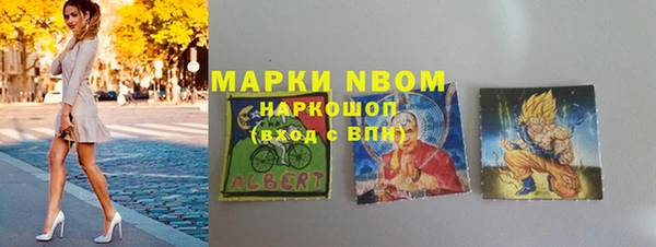индика Алексин