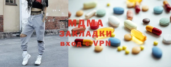 индика Алексин