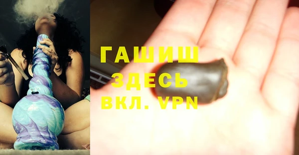 индика Алексин