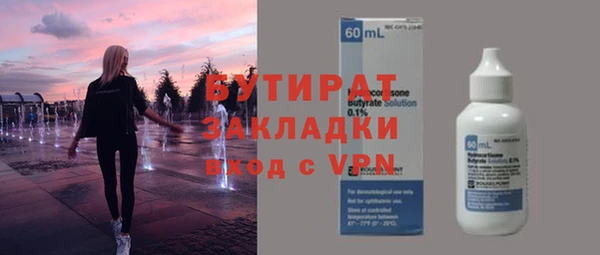 индика Алексин