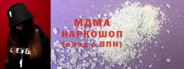 индика Алексин